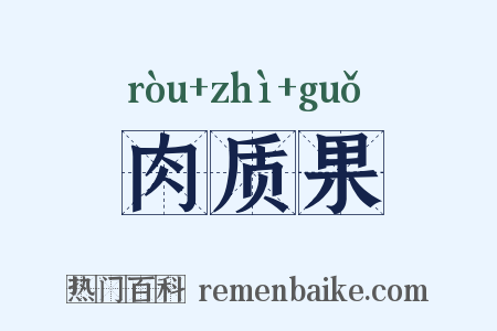 肉质果是什么意思的图片